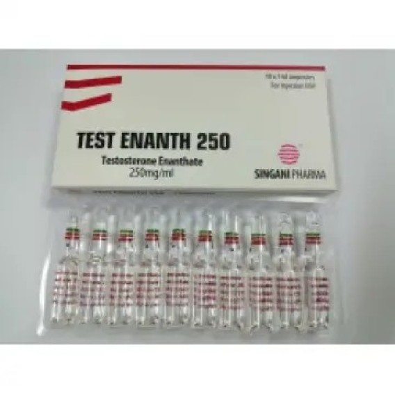 TESTOSTERONE ENANTHATE 250 SINGANI PHARMA